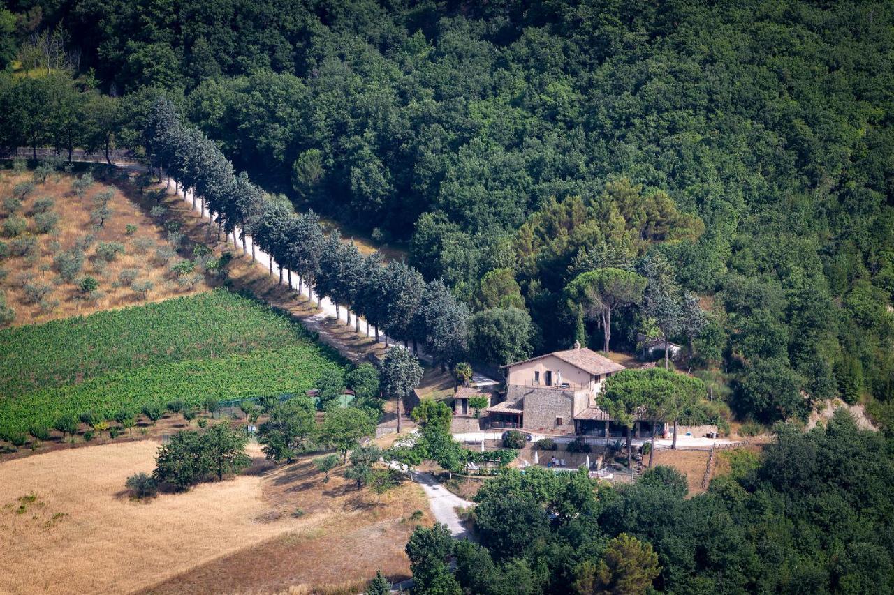 Agriturismo Colle Pu Pieve San Nicolo Экстерьер фото